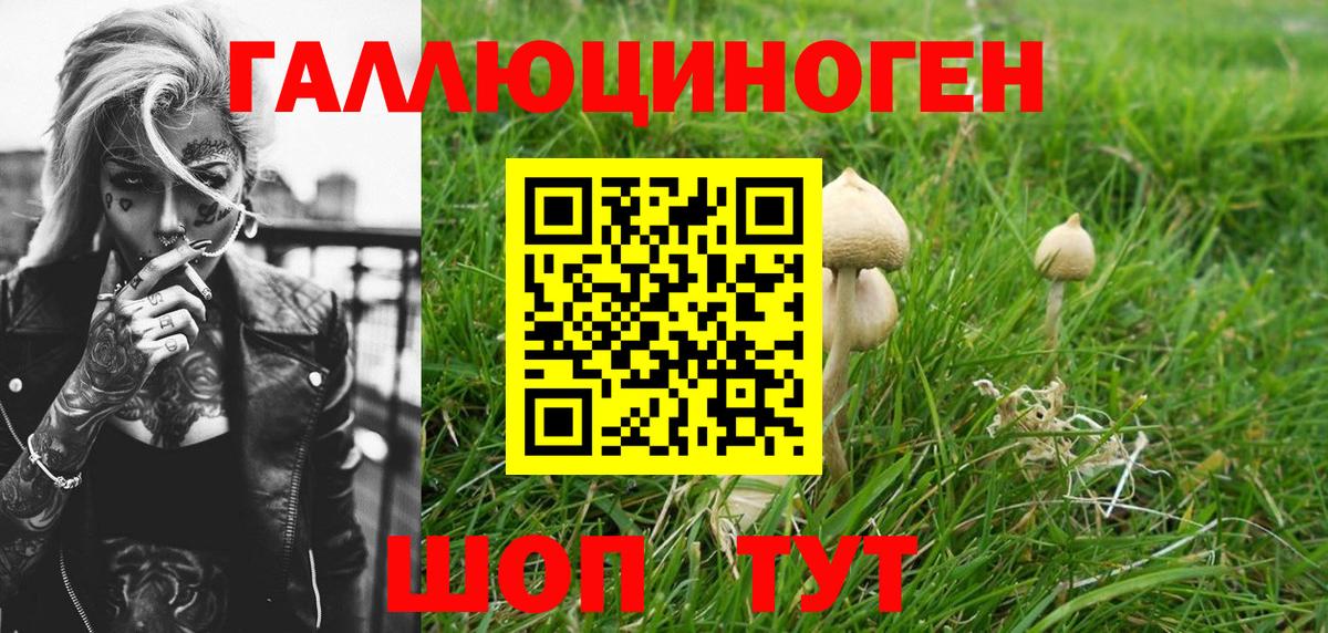 Волжский  Галлюциногенные грибы Magic Shrooms  Вход с VPN 